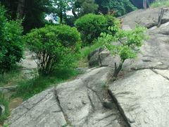 android_upload_pic-新罗免税店(首尔总店)