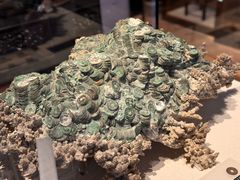 -南越王博物院(王宫展区)