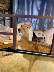 -酷嗒动物文化乐园(cutezoo西溪乐天城店)