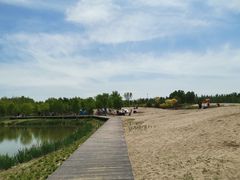-东郊湿地公园