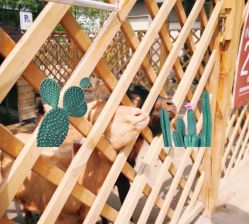 -萌宠亲子动物乐园(槐房万达店)