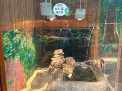 -上海大自然野生昆虫馆
