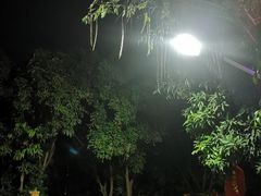 -晓雯人家