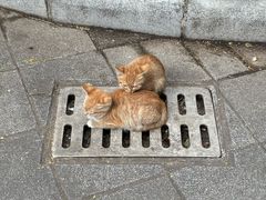 -晓港公园