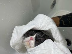 -FAELING PETS美天灵宠物(富力广场店)