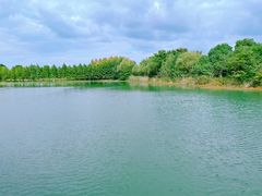 -南湖湿地公园
