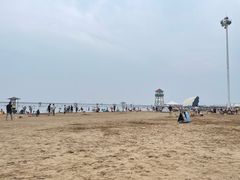 -碧海金沙