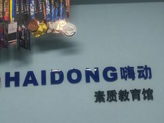 -嗨动跆拳道体能馆(菜百店)