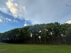-美兰湖景区