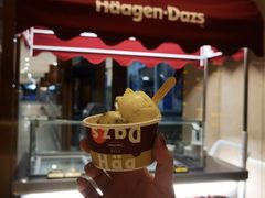 -顺德美的万豪酒店·自助餐·贡厨