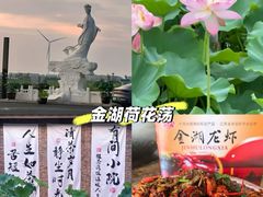 -荷花荡