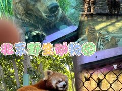 -北京野生动物园