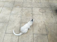 -竹子林(地铁站)