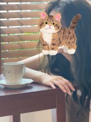 -WAVE SODA摄影工作室