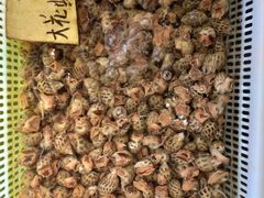 -红月湾海鲜饭店•沙滩海景(双月湾店)