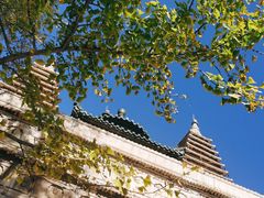 -北京石刻艺术博物馆(五塔寺)