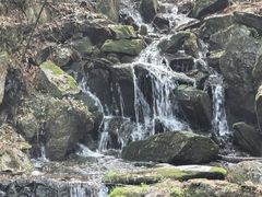 -庐山风景区花径公园