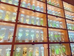 -南京中医药大学(仙林校区)