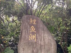 -鲤鱼洲酒店港鲤咖啡厅