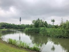 -鹅湖玫瑰文化园