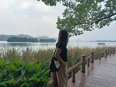 -东湖落雁景区
