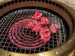 -老乾杯(深圳湾万象城店)