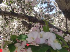 -元大都城垣遗址公园