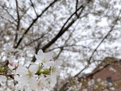 -自然博物馆(地铁站)