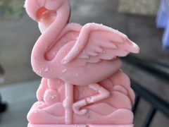 -宁波野生动物园
