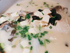 姜君千岛湖鱼头-姜君·千岛湖鱼头馆(浦东大道店)