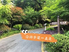 -九曜山