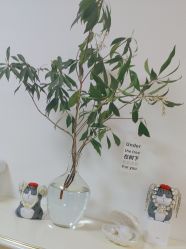 -美肤盾祛痘·问题肌头疗管理中心