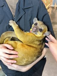 -Zoolung Zoolung动物主题公园(海信广场店)