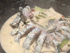 -鲜潭蒸汽石锅鱼(五道口购物中心店)