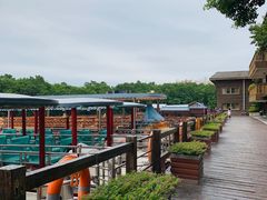 -大湾区中央湿地公园