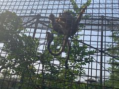 -石家庄市动物园