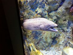 -福州罗源湾海洋世界旅游区