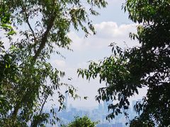 -火炉山森林公园