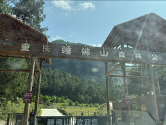 -重庆睡佛山森林公园
