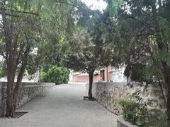 -西侯度遗址