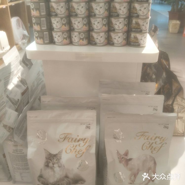 可爱的小猫咪🐱