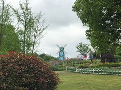 -铁山坪森林公园