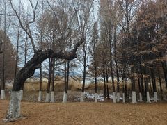 -云龙湖旅游景区