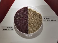 -中国中医科学院西苑医院(本部)