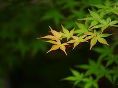 -江南大学(蠡湖校区)