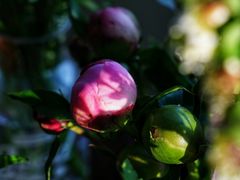 -RiceZone乐食尊纯米面包坊(望京店)