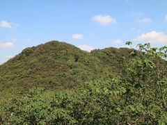 -杭州半山国家森林公园