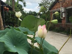 -罗浮山·罗园农庄