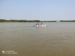 -上海海湾国家森林公园