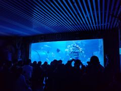 -左海海底世界